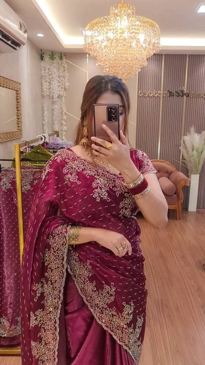 Luxury Indian Imported Jimmy Choo Saree All Over Stone Work