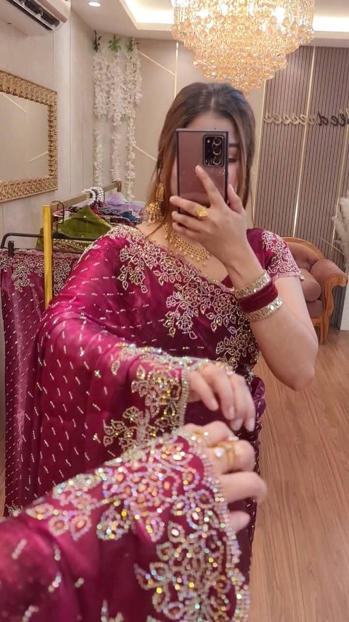 Luxury Indian Imported Jimmy Choo Saree All Over Stone Work - Image 3